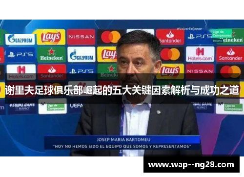 谢里夫足球俱乐部崛起的五大关键因素解析与成功之道 谢里夫足球俱乐部崛起的五大关键因素解析与成功之道