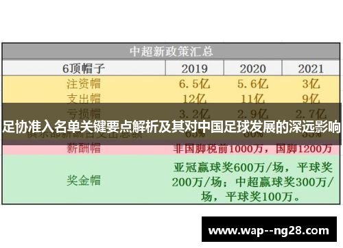 足协准入名单关键要点解析及其对中国足球发展的深远影响 足协准入名单关键要点解析及其对中国足球发展的深远影响
