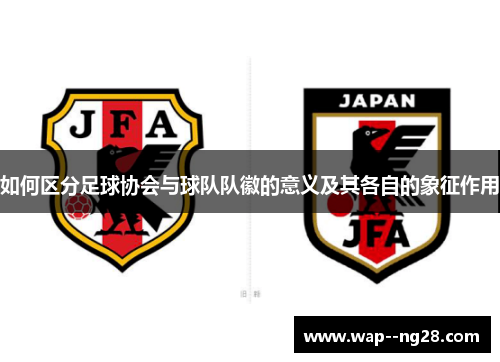 如何区分足球协会与球队队徽的意义及其各自的象征作用 如何区分足球协会与球队队徽的意义及其各自的象征作用