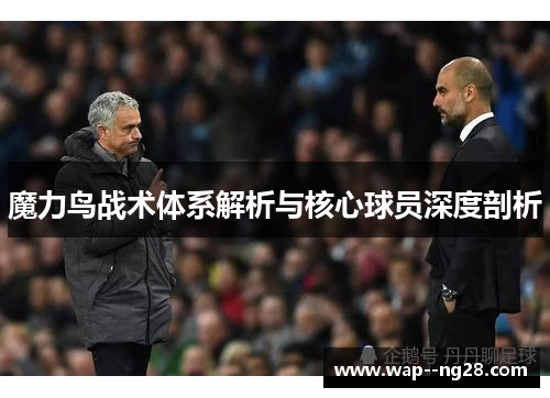 魔力鸟战术体系解析与核心球员深度剖析