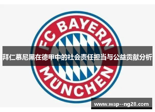 拜仁慕尼黑在德甲中的社会责任担当与公益贡献分析