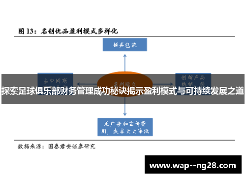 探索足球俱乐部财务管理成功秘诀揭示盈利模式与可持续发展之道