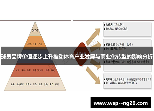 球员品牌价值逐步上升推动体育产业发展与商业化转型的影响分析