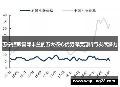 苏宁控股国际米兰的五大核心优势深度剖析与发展潜力