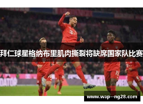 拜仁球星格纳布里肌肉撕裂将缺席国家队比赛