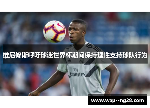 维尼修斯呼吁球迷世界杯期间保持理性支持球队行为