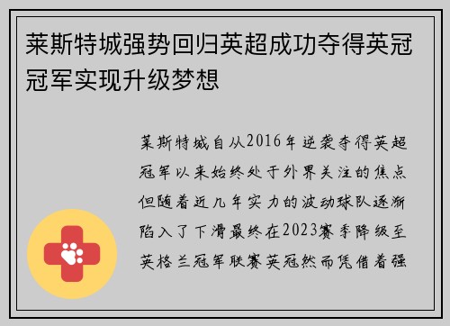 莱斯特城强势回归英超成功夺得英冠冠军实现升级梦想